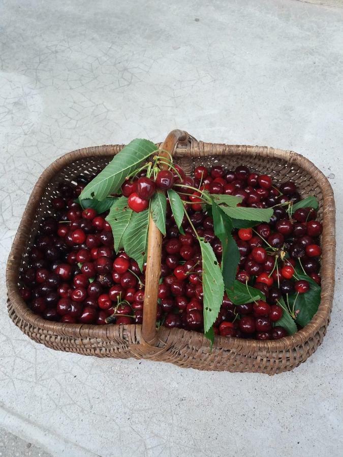 Beaucroissant Les Copains D'Abord 빌라 외부 사진